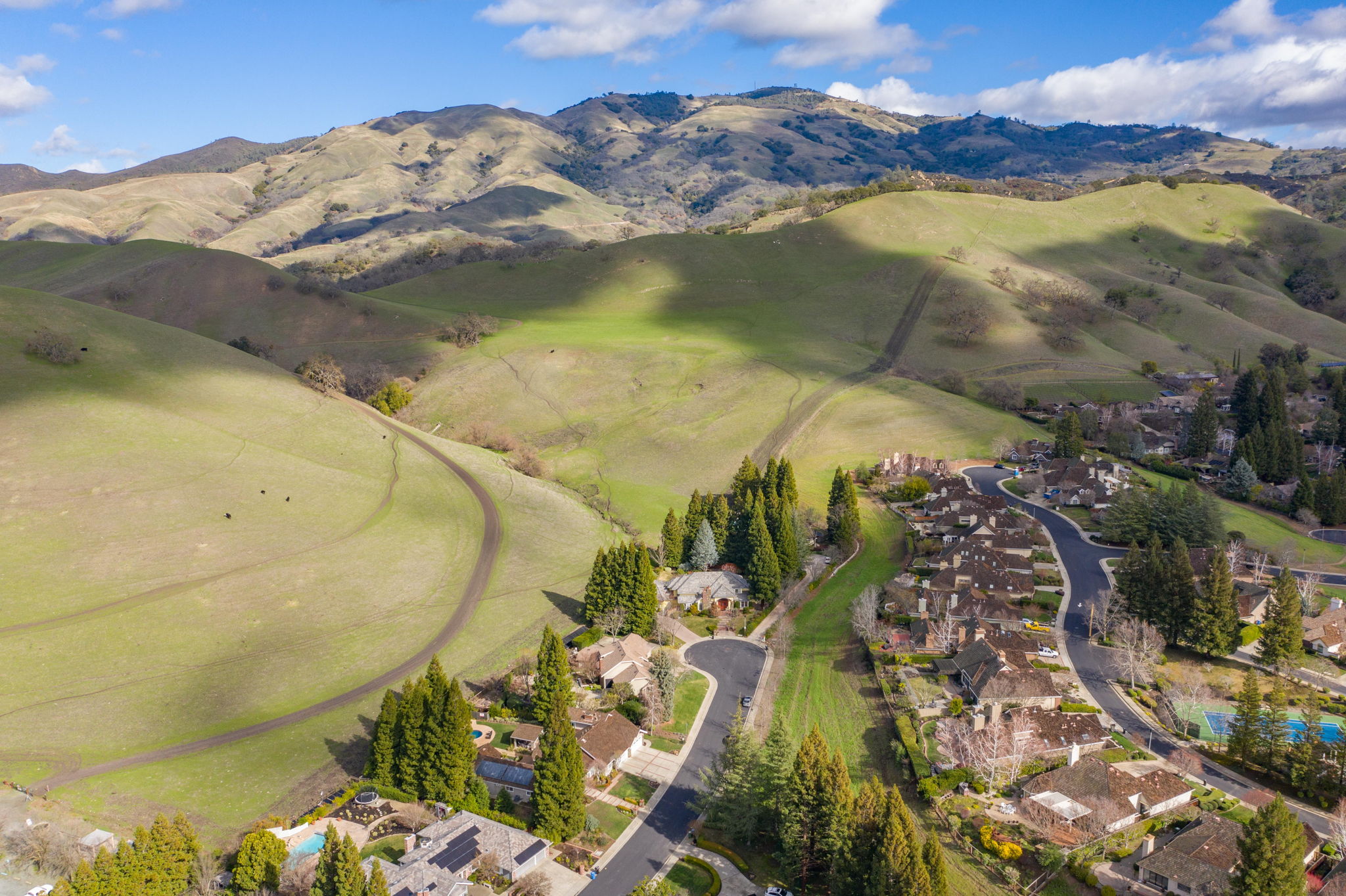 516 Wild Flower Pl, Alamo, CA 94507, US Photo 45