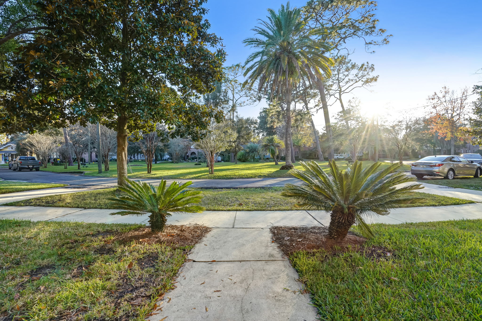Front Yard