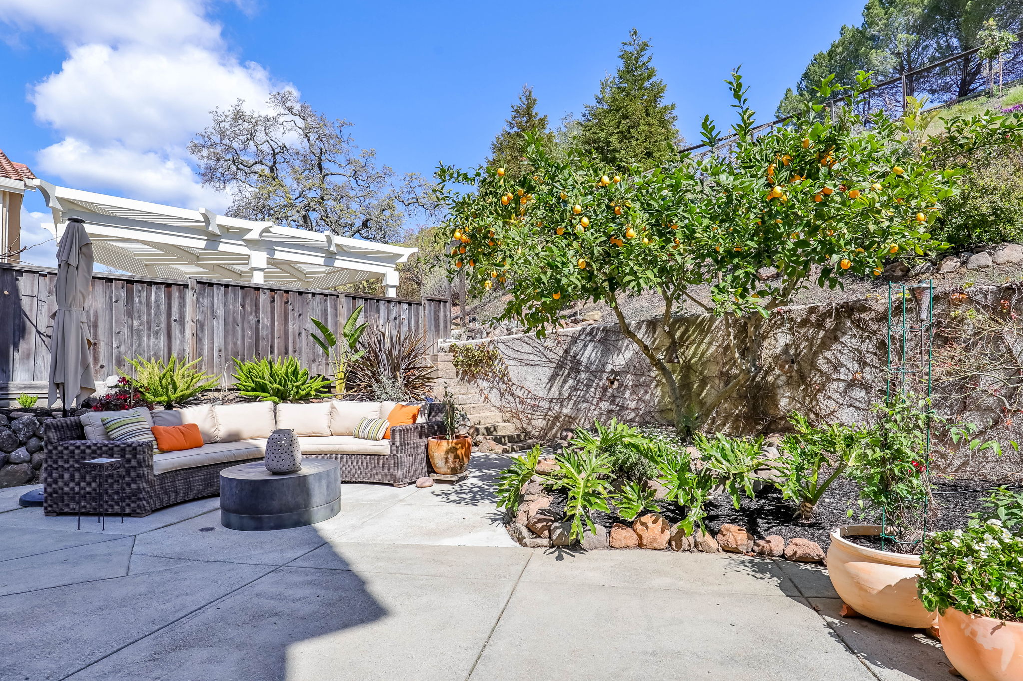 1178 Sunrise Ridge Dr, Lafayette, CA 94549, US Photo 27