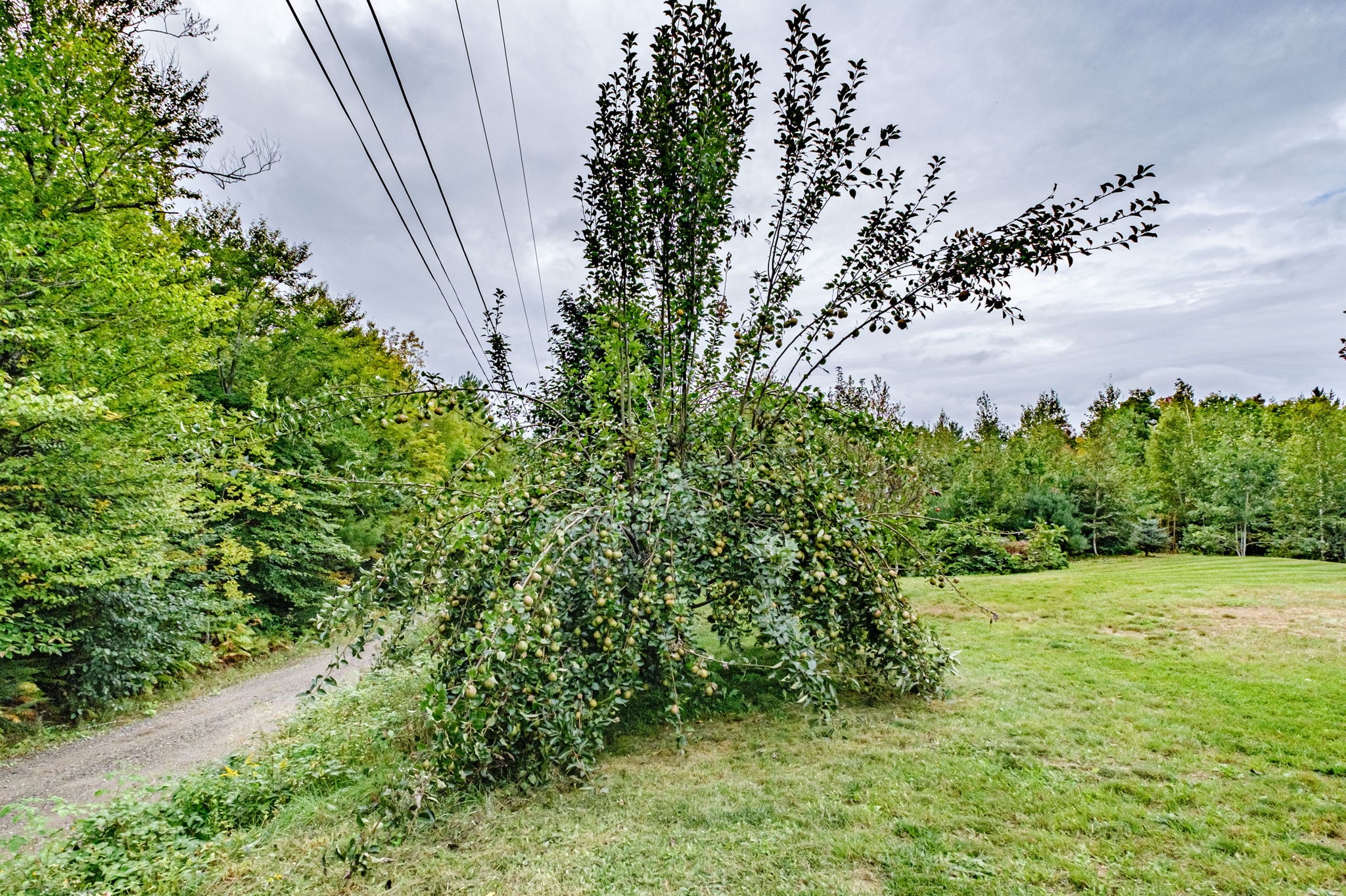 1060 W Rd, Bowdoin, ME 04287, USA Photo 20