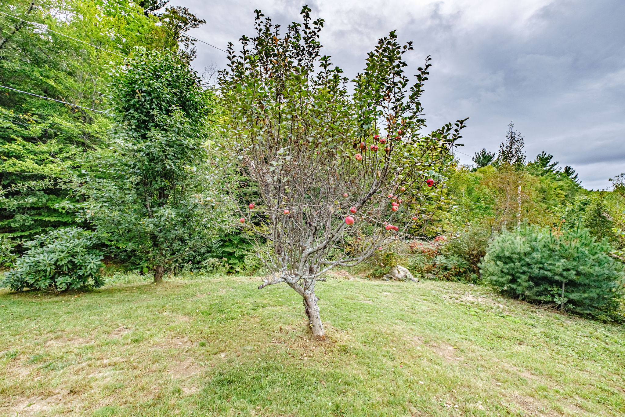 1060 W Rd, Bowdoin, ME 04287, USA Photo 24