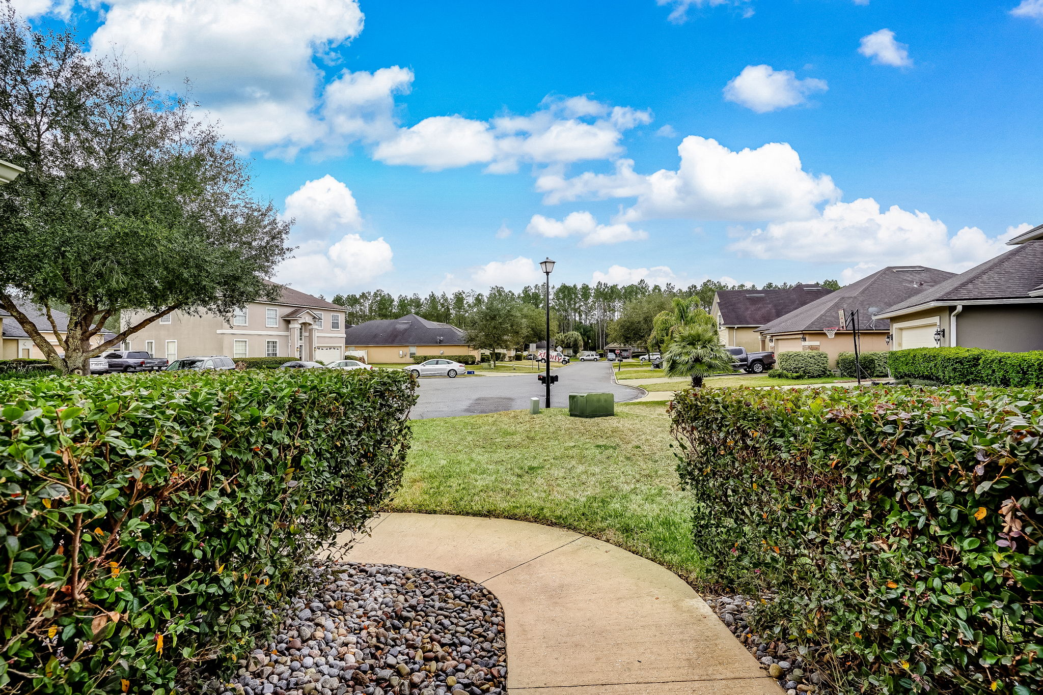 Front Yard