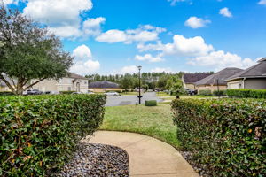 Front Yard