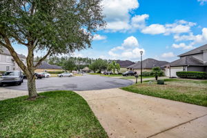 Front Yard