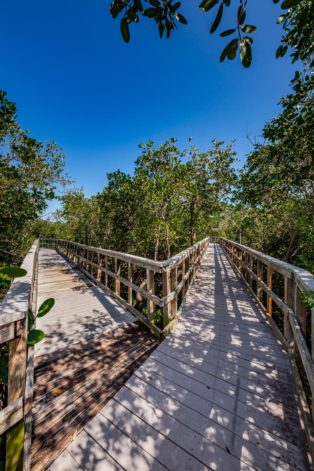 Nature Preserve30 Boardwark
