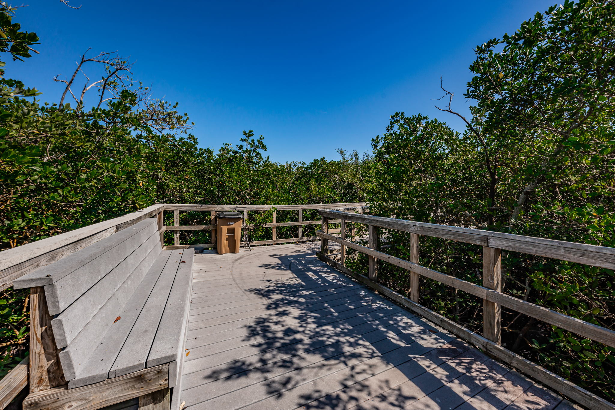 Nature Preserve29 Boardwark