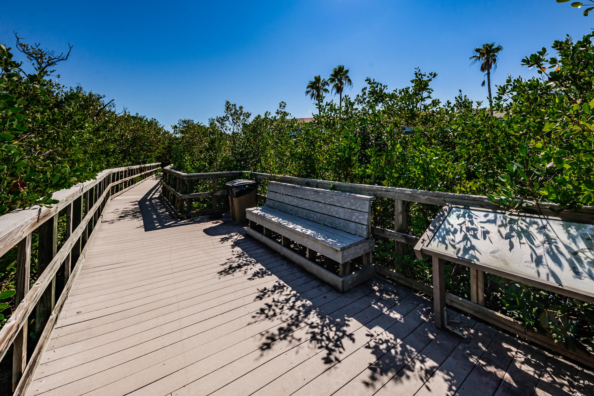 Nature Preserve25 Boardwark