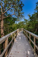 Nature Preserve28 Boardwark