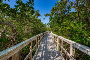 Nature Preserve38 Boardwark