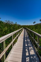 Nature Preserve24 Boardwark