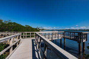 Nature Preserve32 Boardwark