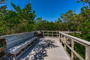 Nature Preserve37 Boardwark