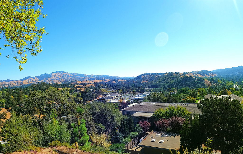 Mt Diablo and Valley Views