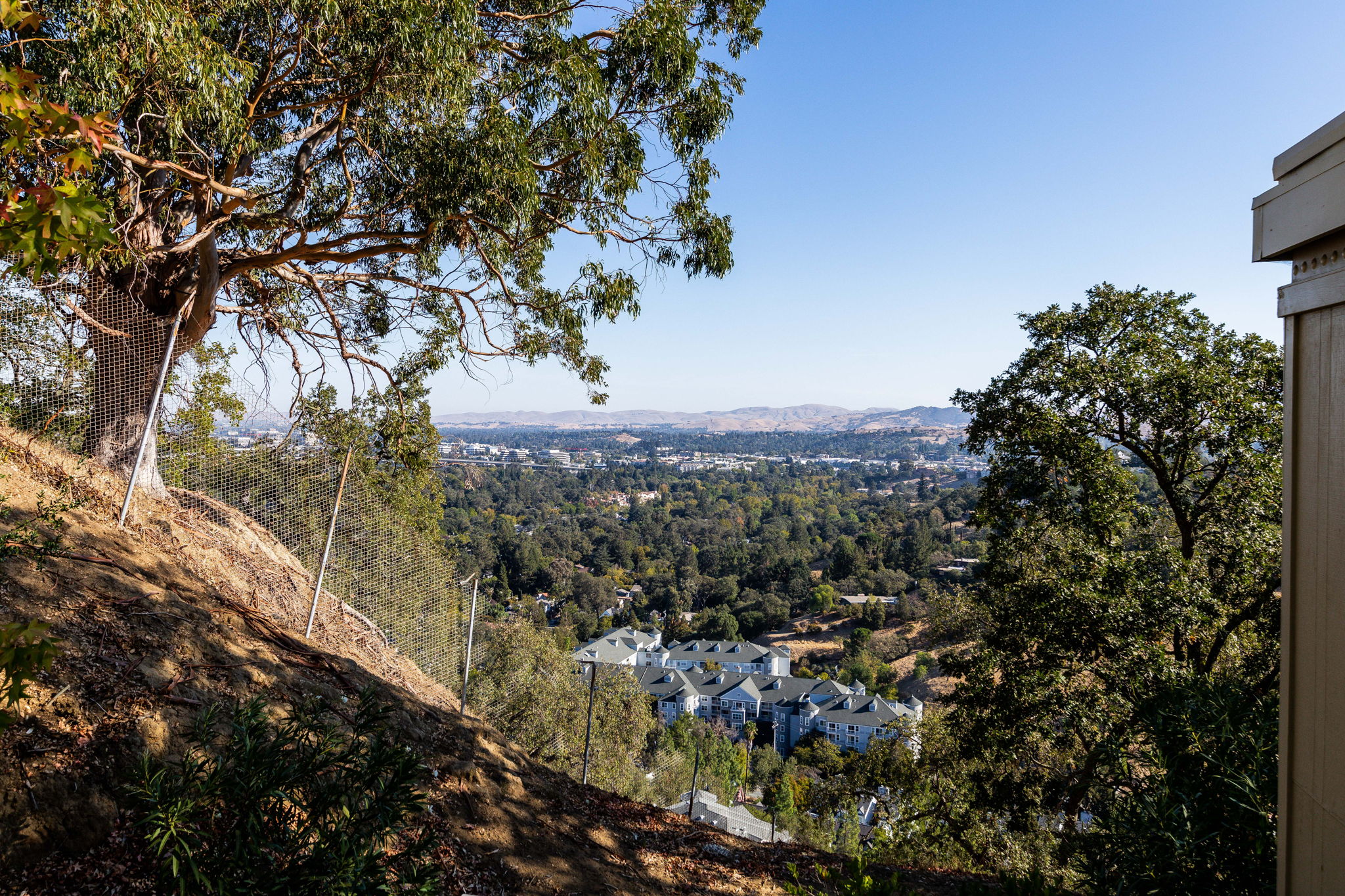 Views of Walnut Creek from Front Porch