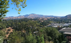 Mt Diablo and Valley Views