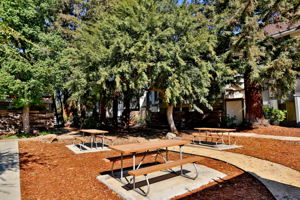 4081 Clayton Rd, Concord, CA 94521, USA Photo 20