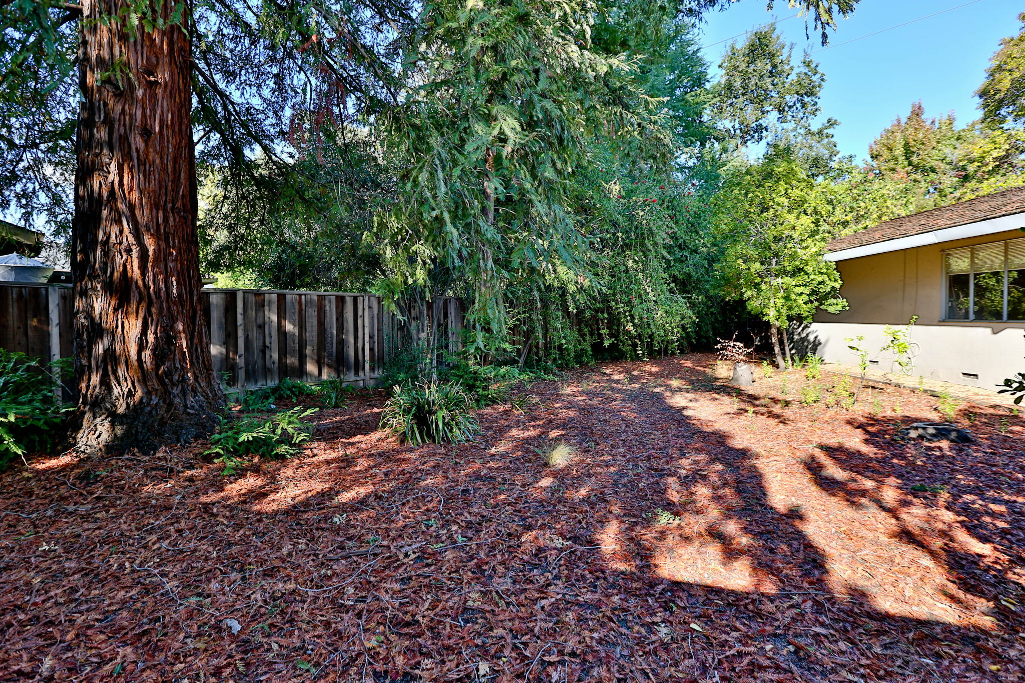 357 Dover Dr, Walnut Creek, CA 94598, USA Photo 40