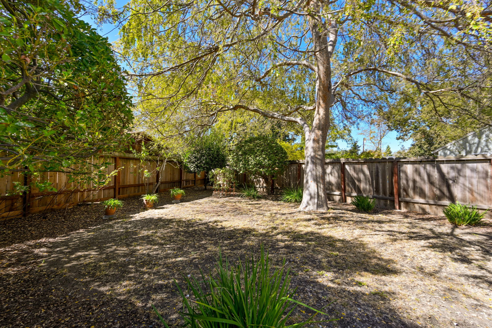 969 Irvin Ct, Pleasant Hill, CA 94523, USA Photo 21
