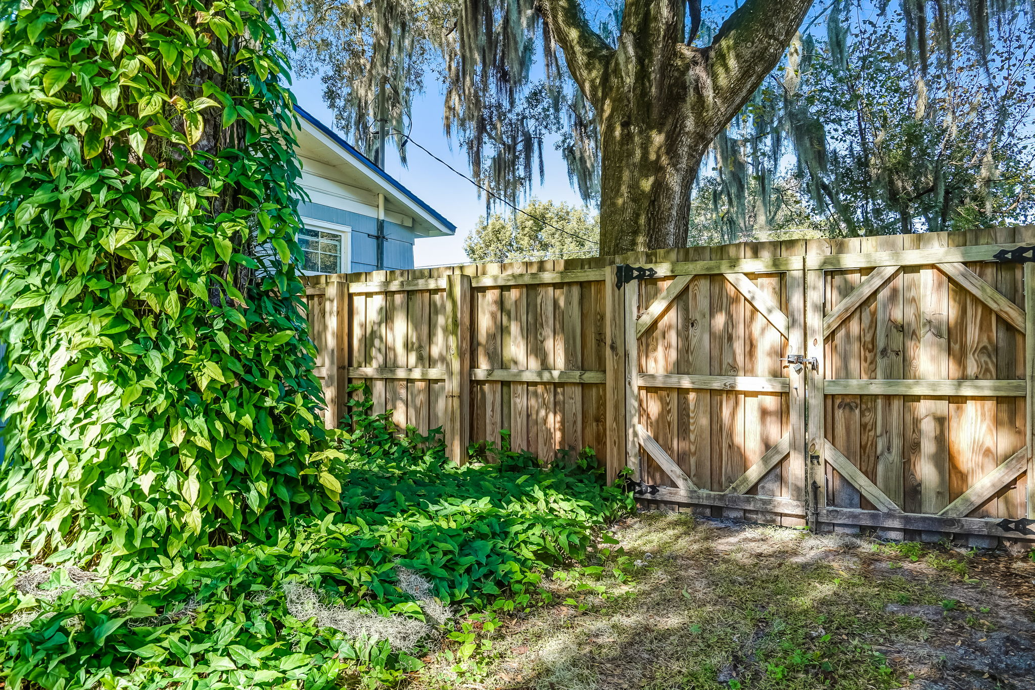 Back Yard