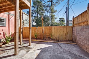 Back Yard/Patio