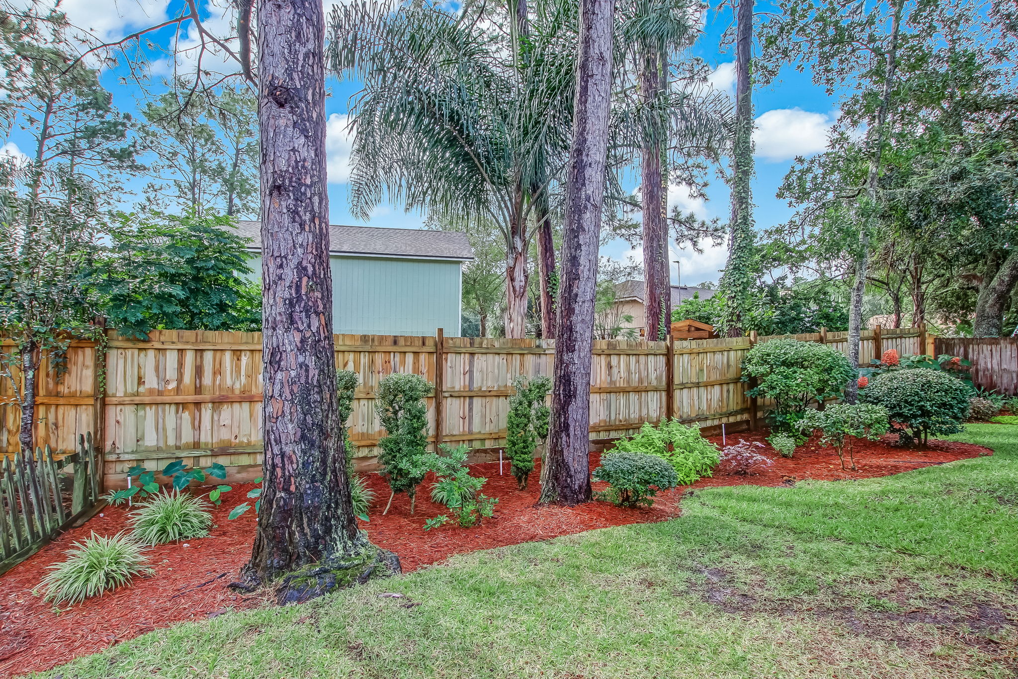 Backyard