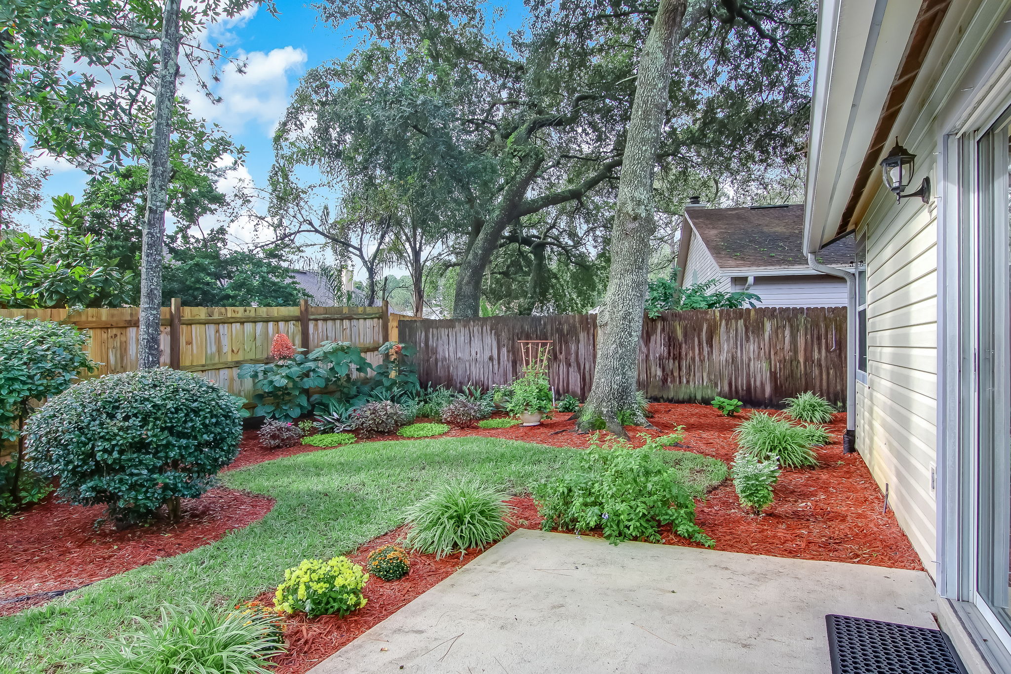 Backyard