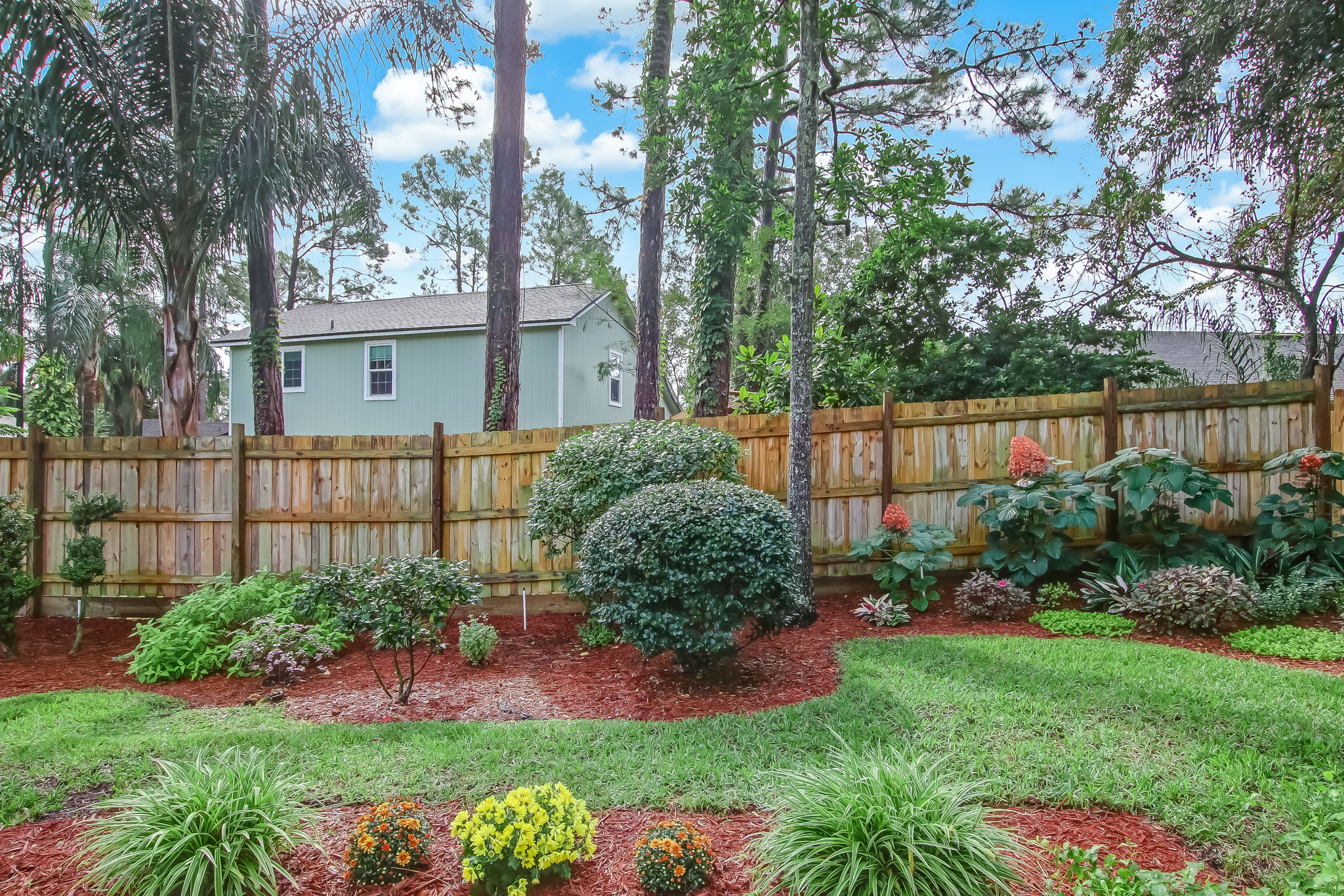 Backyard