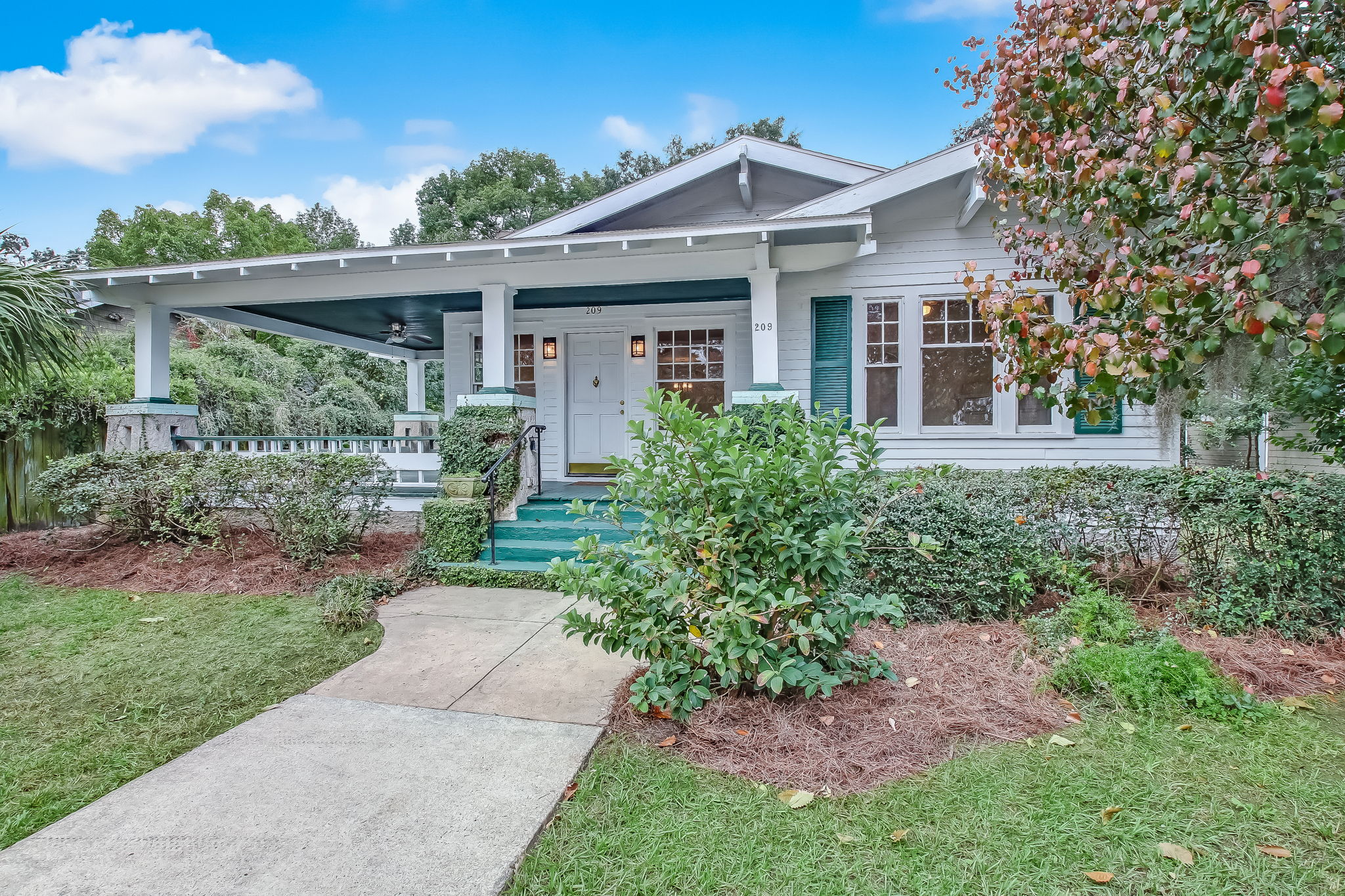 209 Kinzie Ave, Savannah, GA 31404 Southern Aspects Photography