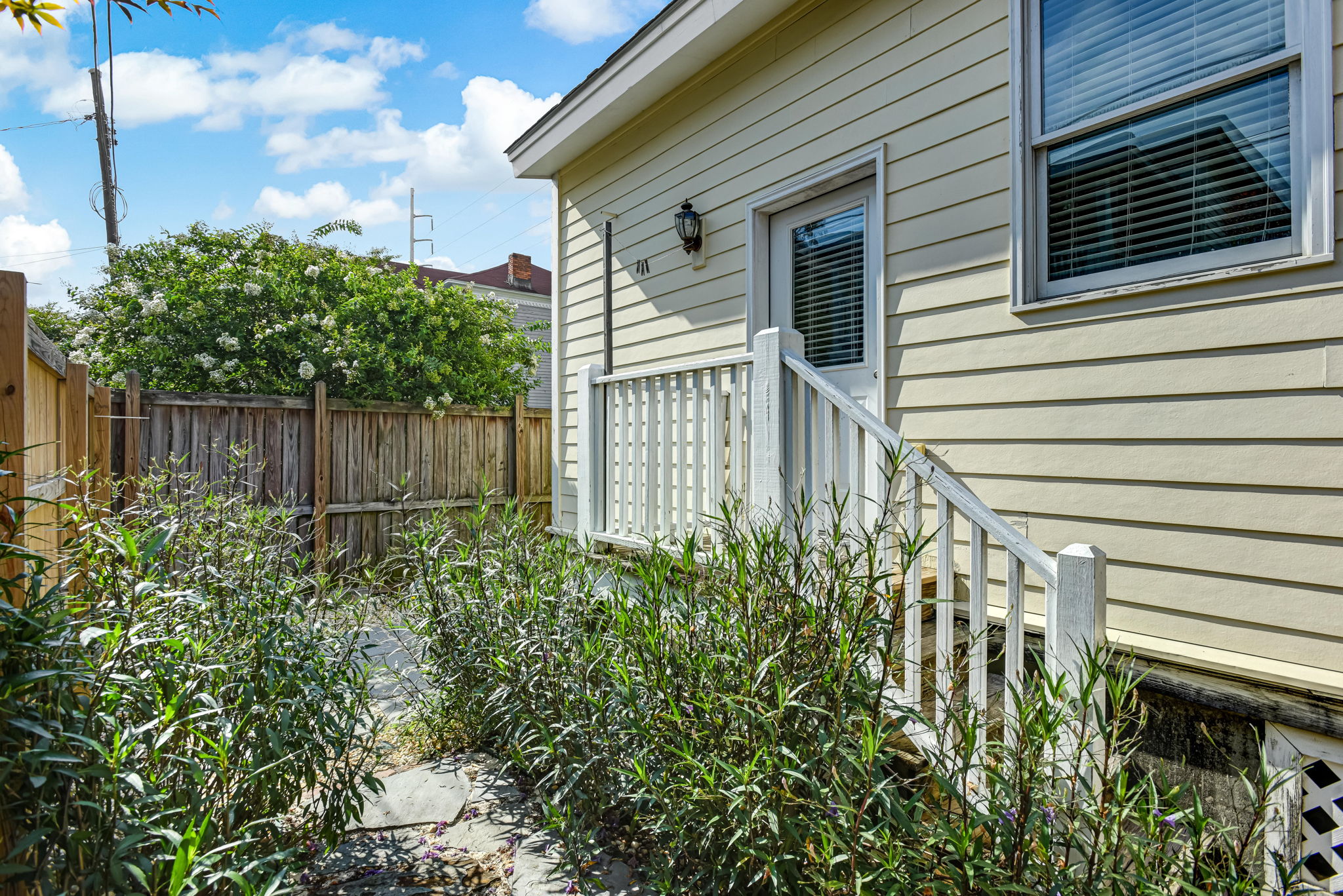 Back Yard