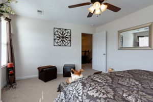 223 Remington Ave, Gallatin, TN 37066, US Photo 27