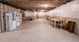 Basement View 2