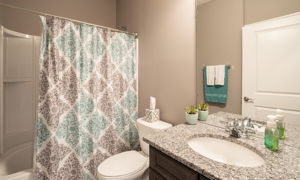 Bathroom #2 on First Floor