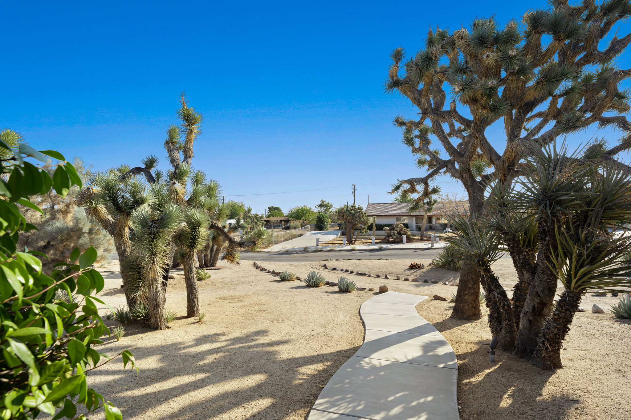 7780 Barberry Ave, Yucca Valley, CA 92284, US Photo 23