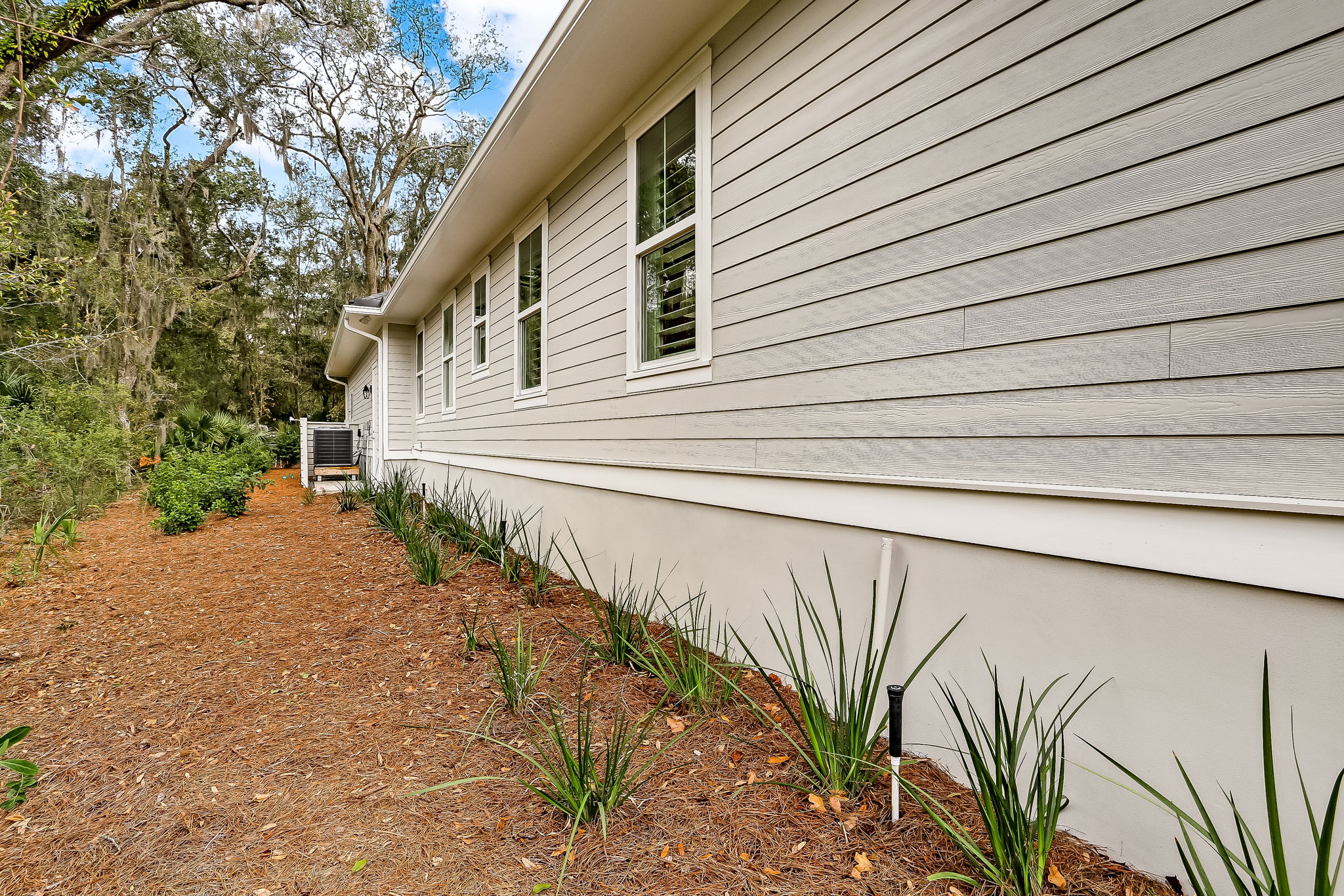 Side Yard