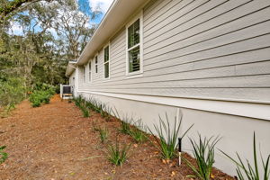 Side Yard