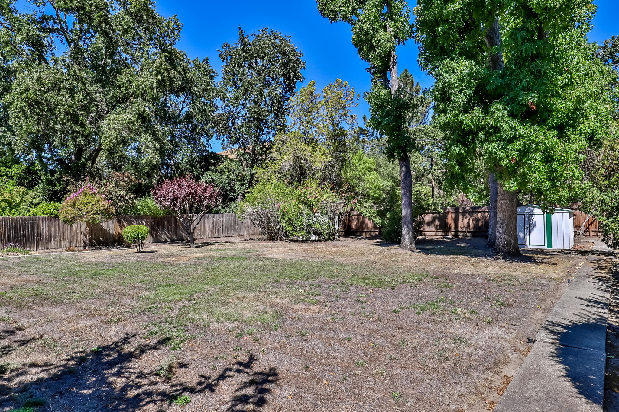 50 Sara Ln, Alamo, CA 94507, USA Photo 28