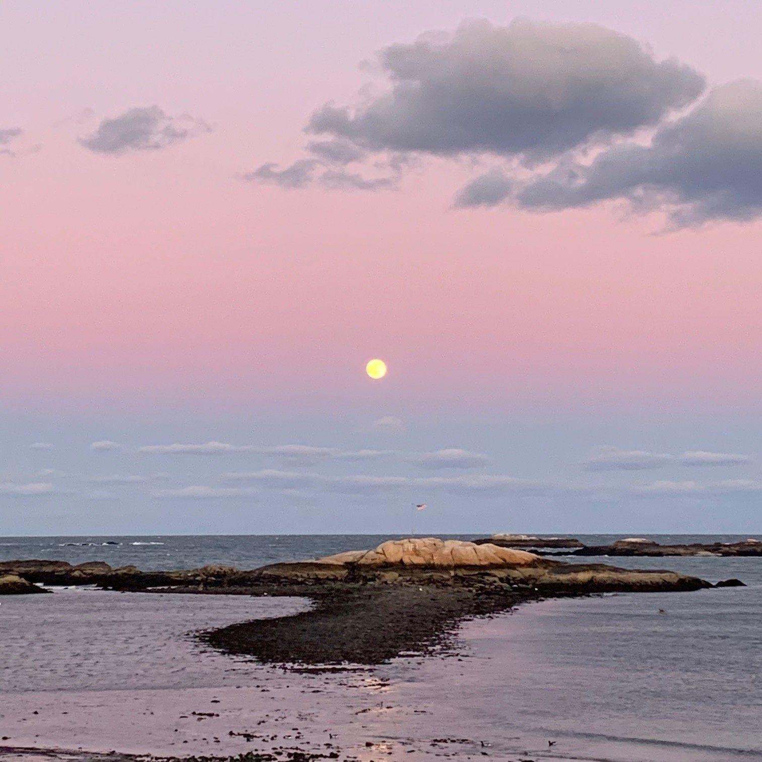 117 Glades Rd, Scituate, MA 02066, US Photo 39