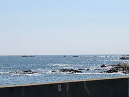 117 Glades Rd, Scituate, MA 02066, US Photo 40