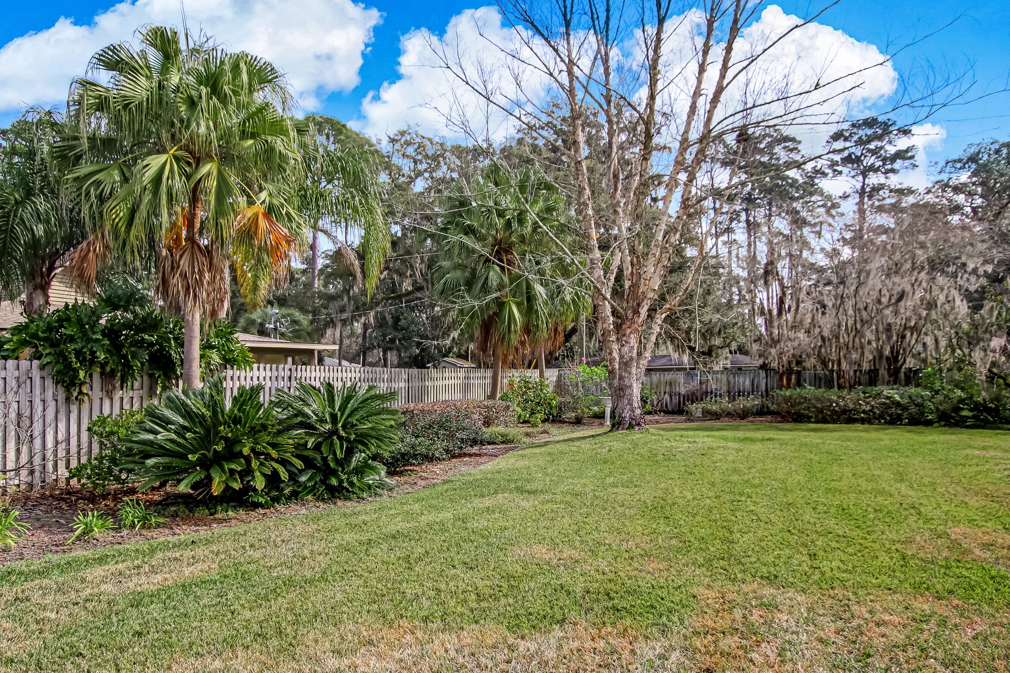 Back Yard