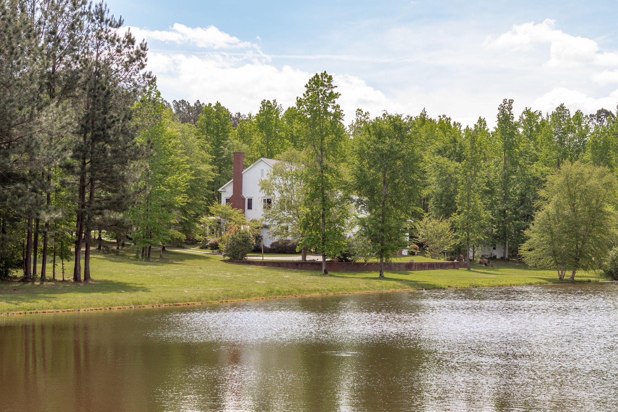 View Over Pond