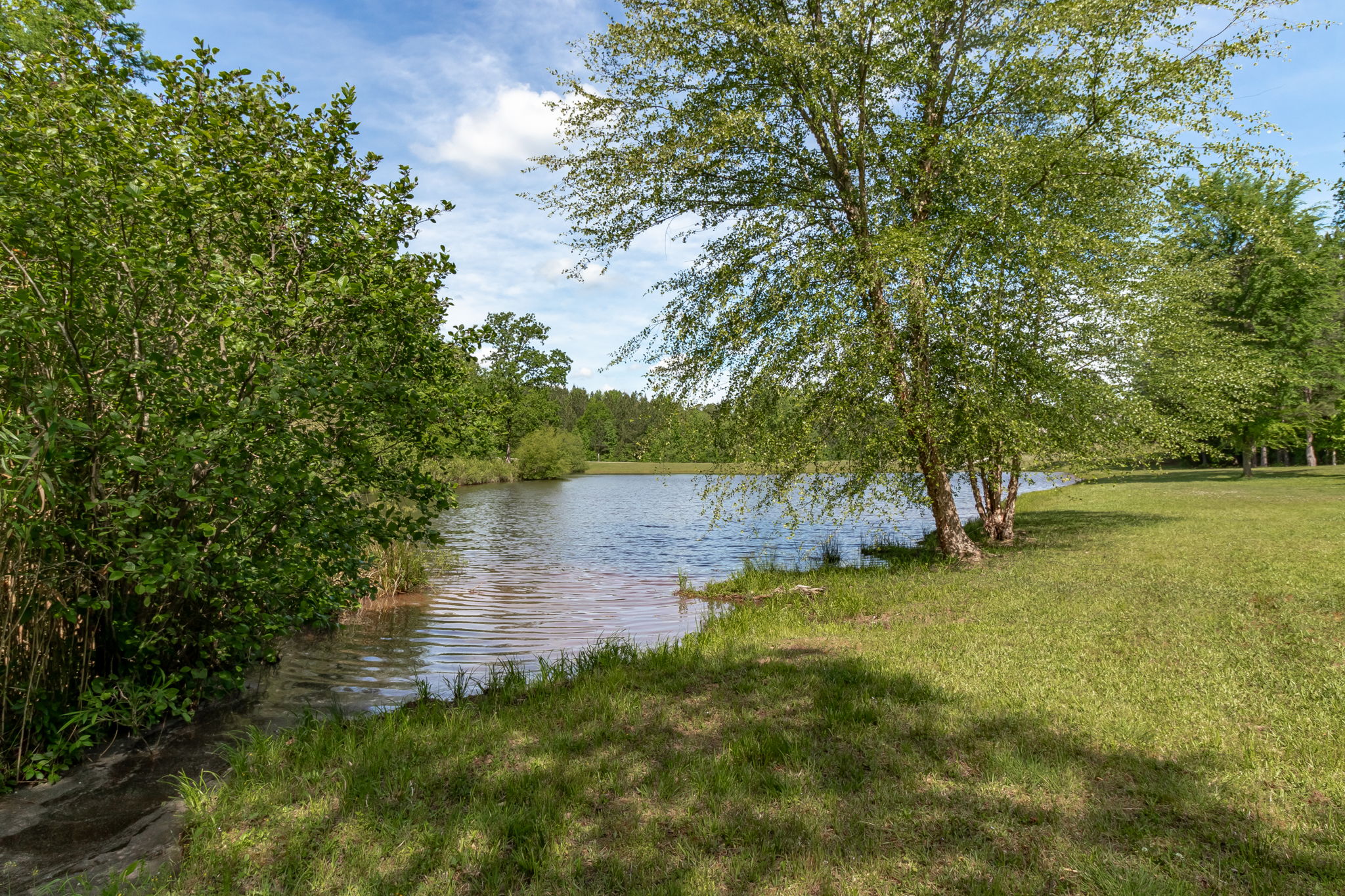 Backyard - Pond