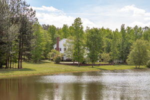 View Over Pond
