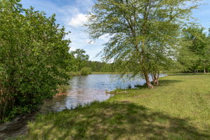 Backyard - Pond