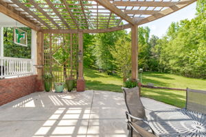 Back Patio