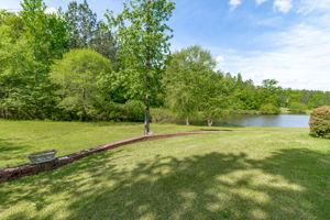 Backyard - Pond