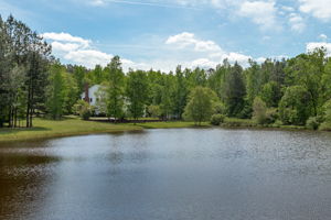 View Over Pond