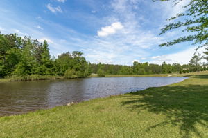 Backyard - Pond