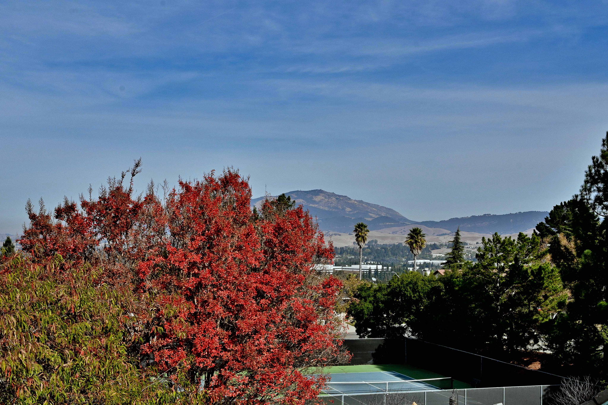 160 Arapaho Cir, San Ramon, CA 94583, US Photo 38