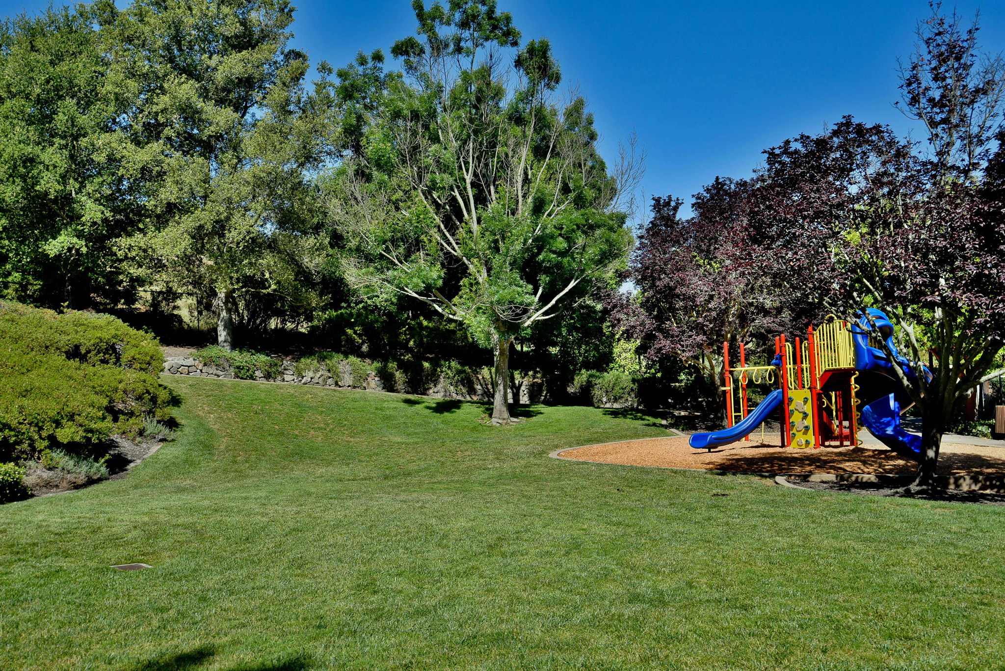 160 Arapaho Cir, San Ramon, CA 94583, US Photo 34