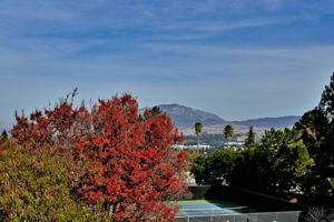 160 Arapaho Cir, San Ramon, CA 94583, US Photo 37